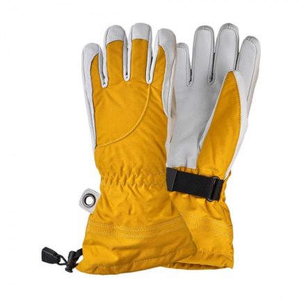 Ski Gloves