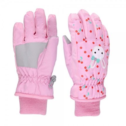 Ski Gloves